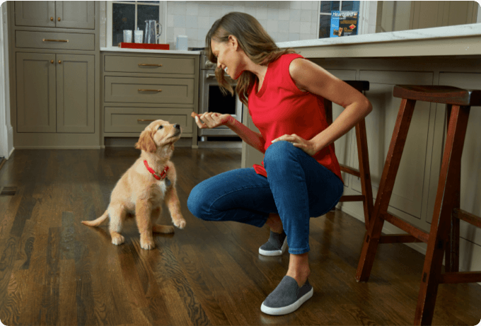 A woman is about to feed her puppy a Heartgard treat