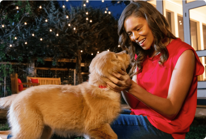 A woman pets her golden retriever puppy