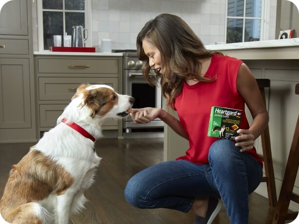 A woman gives her dog a Heartgard Plus chew