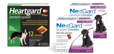 12 Doses of Heartgard and 12 Doses of NexGard | HEARTGARD® Heartworm Protection