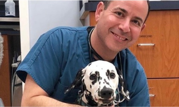 Veterinarian with a dog