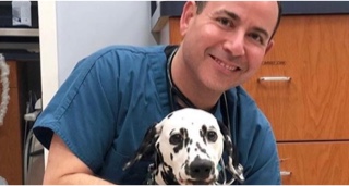 Veterinarian with a dog