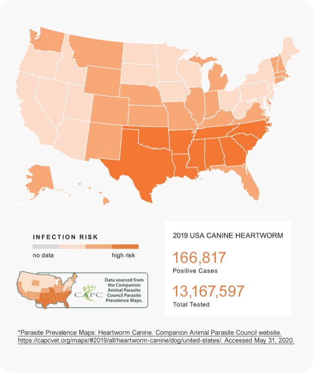 heartworm desease risk map 