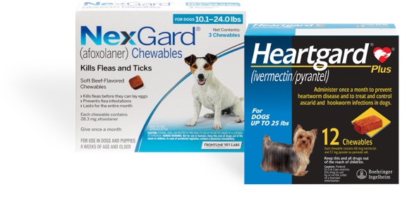 NEXGARD and heartgard packages next to each other