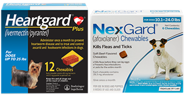 Packages of Heartgard and NexGard