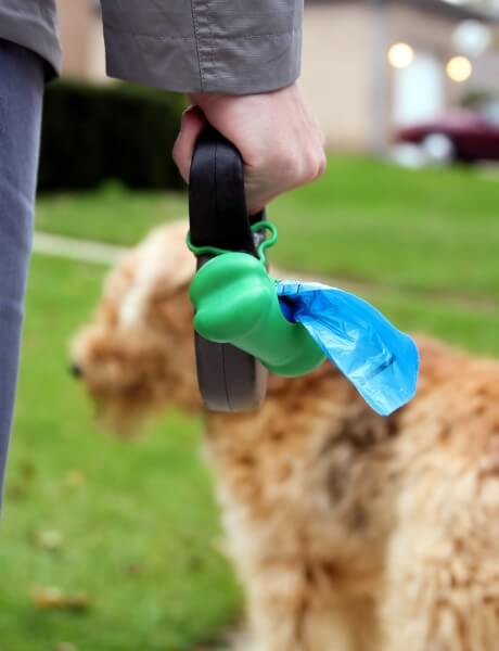 A dog walker carries poop bags
