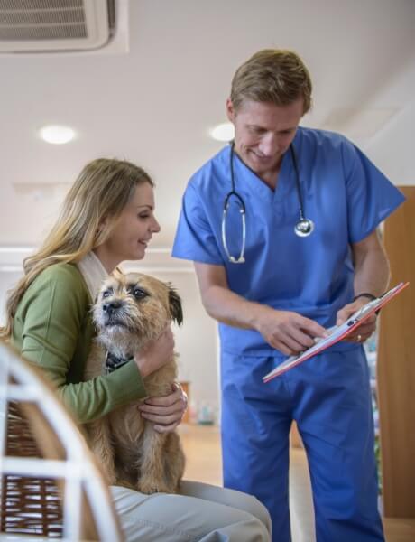 A veterinarian shows a client information about their pet's health