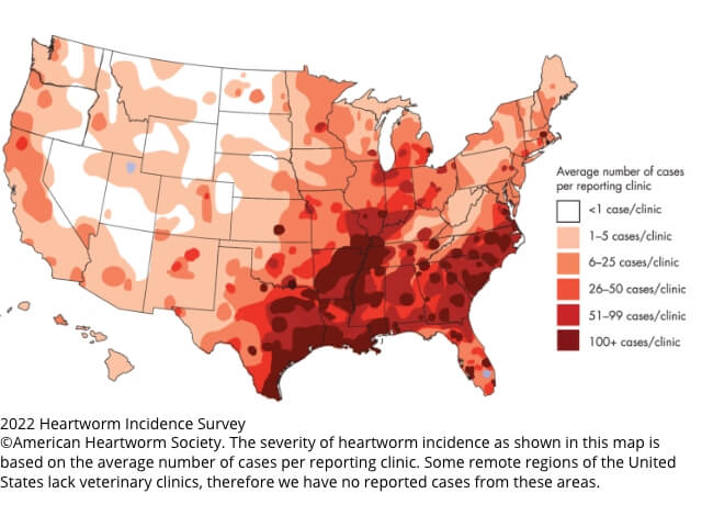 Map showing moderate to high infection risks based on USA state geography | HEARTGARD® Heartworm Protection